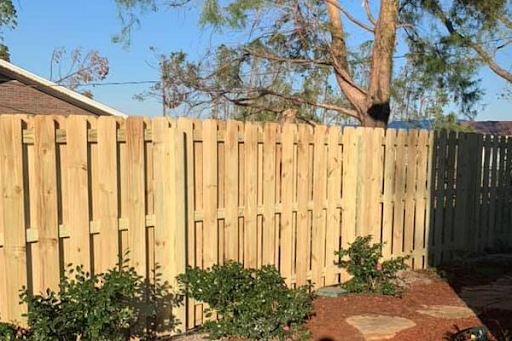 Photo of a PT Pine Fence